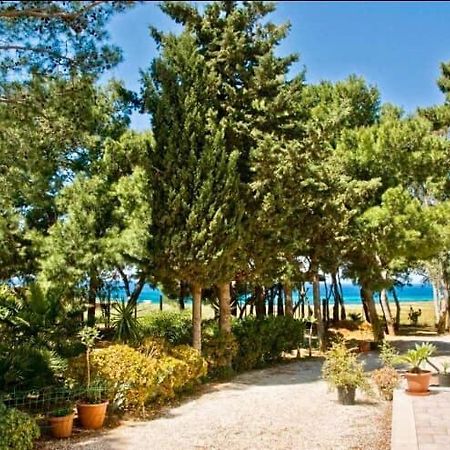 Appartamento I Tramonti Di Cofano كاستيلوزو المظهر الخارجي الصورة