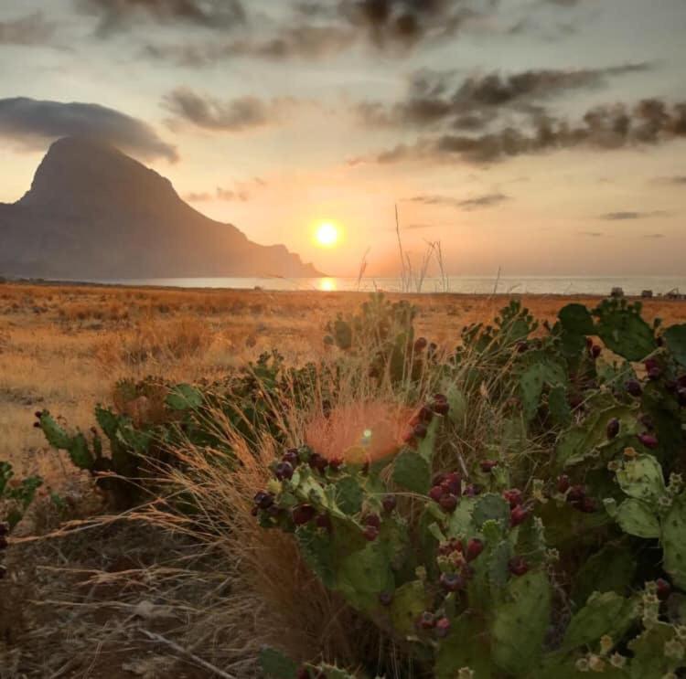 Appartamento I Tramonti Di Cofano كاستيلوزو المظهر الخارجي الصورة