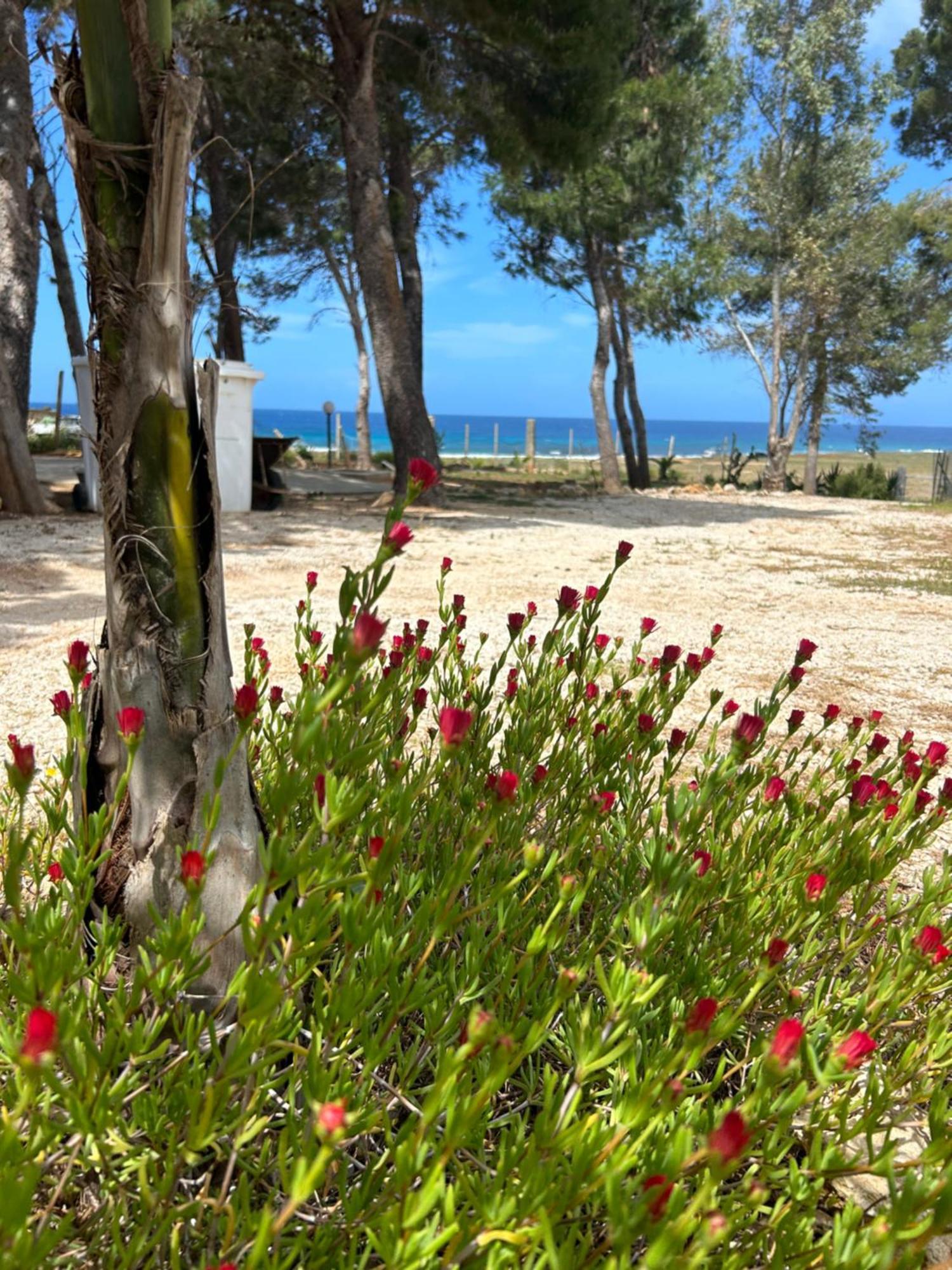 Appartamento I Tramonti Di Cofano كاستيلوزو المظهر الخارجي الصورة